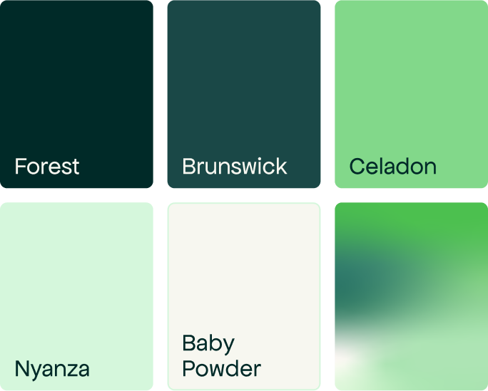 Palette de couleurs de la nouvelle identité visuelle de Beyond Numbers : Forest, Brunswick, Celadon, Nyanza, Baby Powder et dégradé
