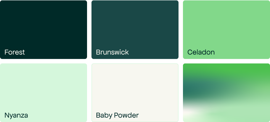 Palette de couleurs de la nouvelle identité visuelle de Beyond Numbers : Forest, Brunswick, Celadon, Nyanza, Baby Powder et dégradé