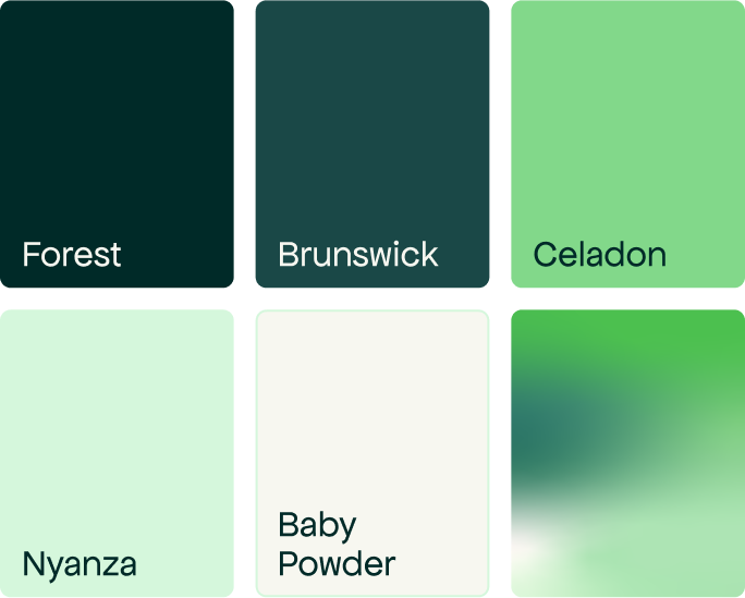 Palette de couleurs de la nouvelle identité visuelle de Beyond Numbers : Forest, Brunswick, Celadon, Nyanza, Baby Powder et dégradé