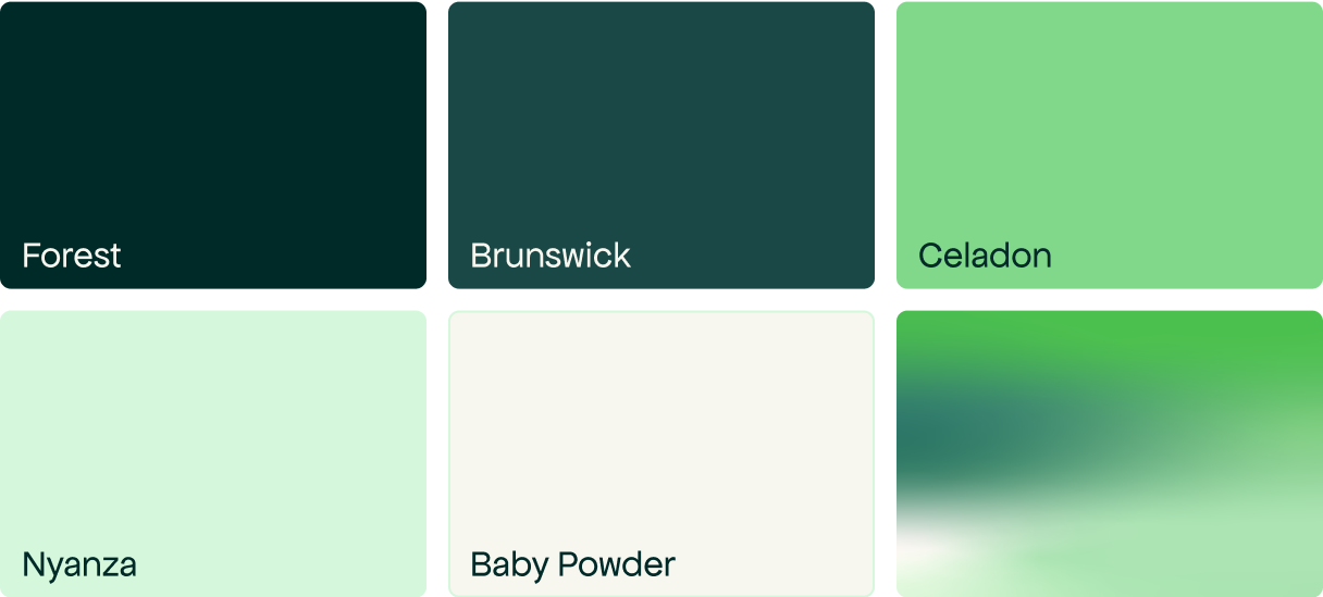 Palette de couleurs de la nouvelle identité visuelle de Beyond Numbers : Forest, Brunswick, Celadon, Nyanza, Baby Powder et dégradé